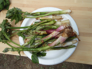 ������10-1