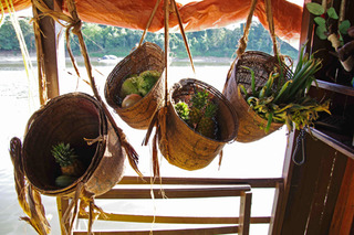 ¼º¤ï¤ì¤¿À¤³¦¤Ø20-1