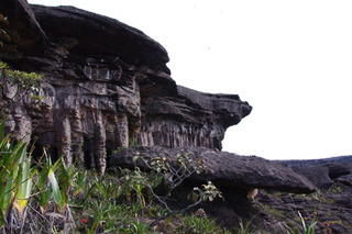 ����줿������77-2