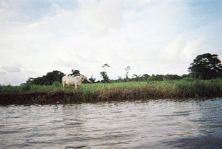 �������ꥫ23��