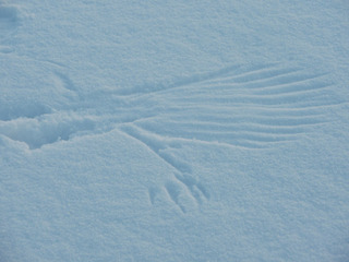 ¥ï¥«¥µ¥®2009_10-2