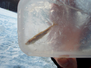 �參����_11-2