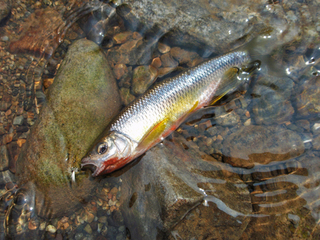 �ڹ�����ι12-1