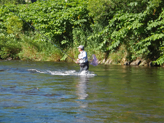 �̳�ƻ�Ż�����4-3