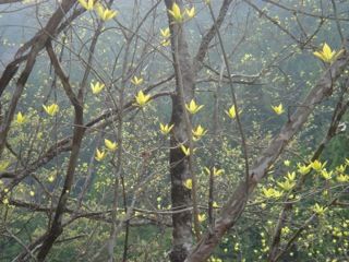 2011_03-28-1