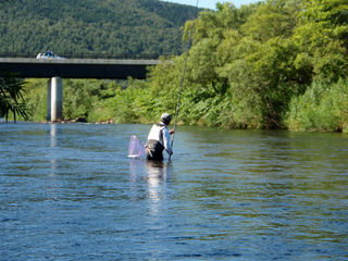 Ë̳¤Æ»»Å»ö»þ¡¹3