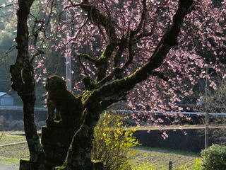 ¿ÎÍäÀî¤Ø_3-2