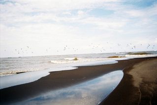 ¥³¥¹¥¿¥ê¥«32²ó