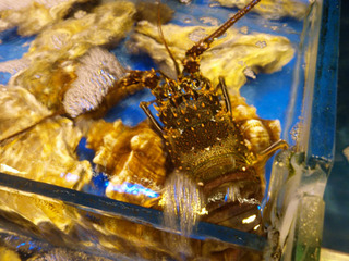 ���Ѥ����2-1