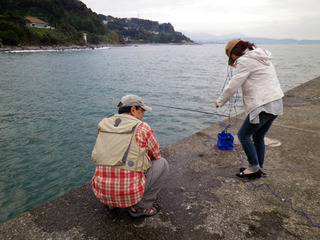 ���ĸ��γ������.01