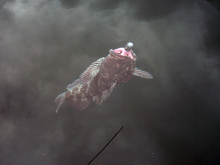 ���ʥ������٥��С�_6