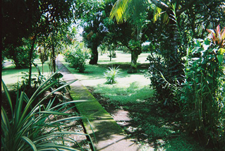 �������ꥫ28��