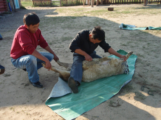 ��󥴥�إ����������ˡ�15-2