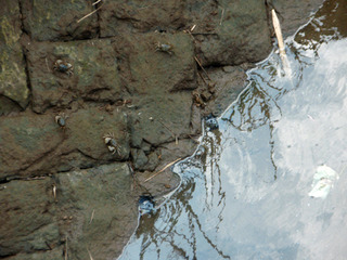 �彣����_8-1