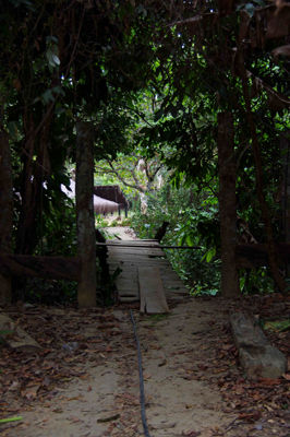 ¼º¤ï¤ì¤¿À¤³¦¤Ø5-1