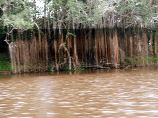 �ڥ롼���ԡ�48