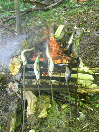 ¥«¥à¥Á¥ã¥Ä¥«22