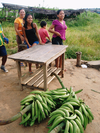 �ڥ롼���ԡ�44-3