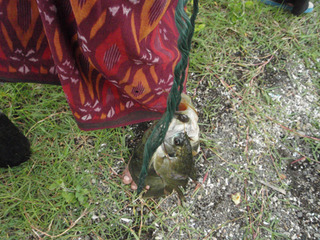 �ߤ�ʤǥХ��硡7-3a