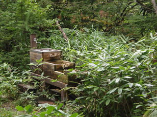 ���������2009-5