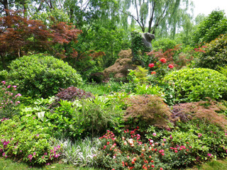 ��񹺽�ι�ԡ�05-2