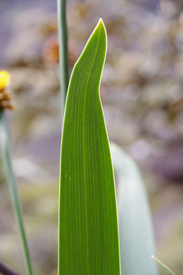 ¼º¤ï¤ì¤¿À¤³¦¤Ø81-1