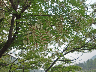 �ڹ�����ι02-2