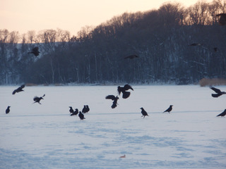 �參����2009_9