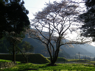 ¿ÎÍäÀî¤Ø_3-1