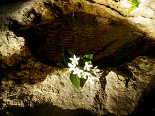 ¾®Æ¦Å縸ÁÛ 04