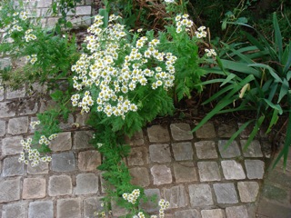 2010_06_21-3