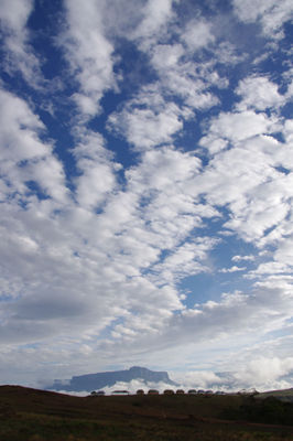 ����줿������71-2