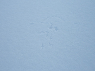 �參����_11-3