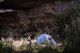 ¼º¤ï¤ì¤¿À¤³¦¤Ø81-3