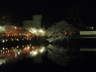 小田原の花見2-1