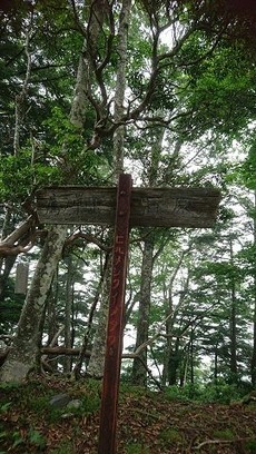 10やっとたどり着きました。ヒルメシクイノタワ