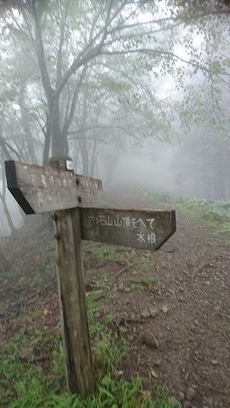 15鷹ノ巣山から下山します