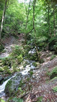 4梅雨時、豊かな水量