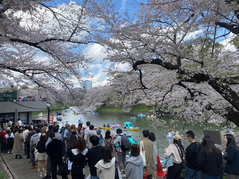 973B34B7-3899-4A18-9DF1-A511CACE1D10