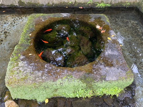 2197F0C2-09A3-4058-A5F6-B40733314EF8