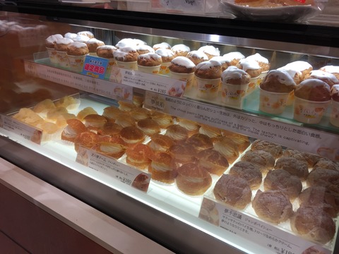 D42CEE51-E168-4D70-9663-0A48B7BFDAD0