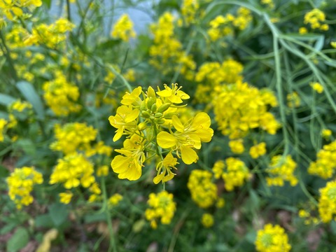 9F278E2E-F9DF-44D0-ABBC-7BFD8271104C