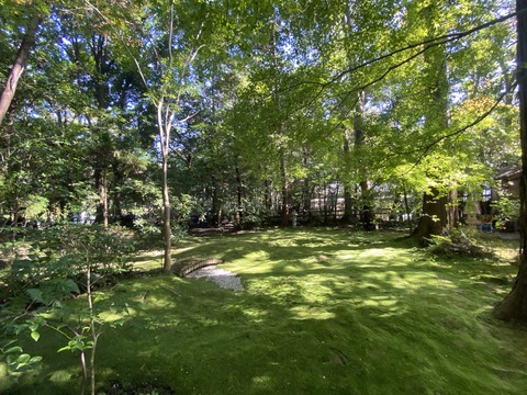 B10307D8-CDD4-43D3-B326-BCF831571851