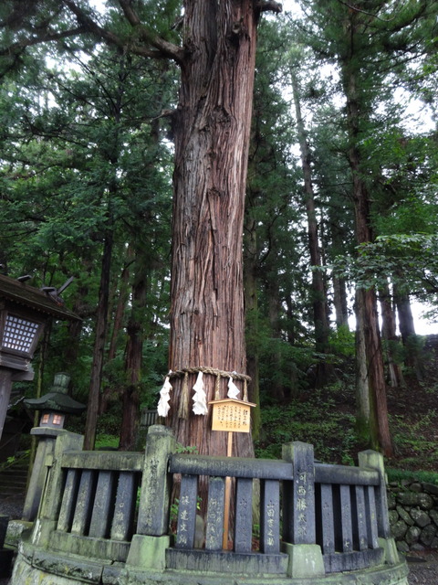 DC84580B-E475-4D29-887C-6C3B730EA50E