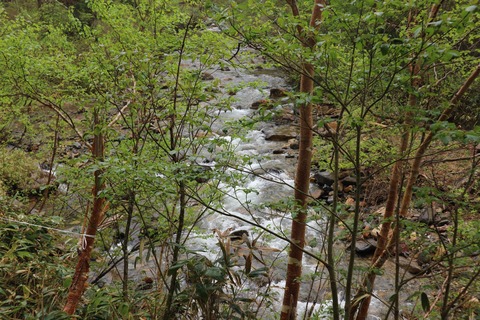 136D5DAB-3225-4A8F-84A4-7ABC90BFE91B