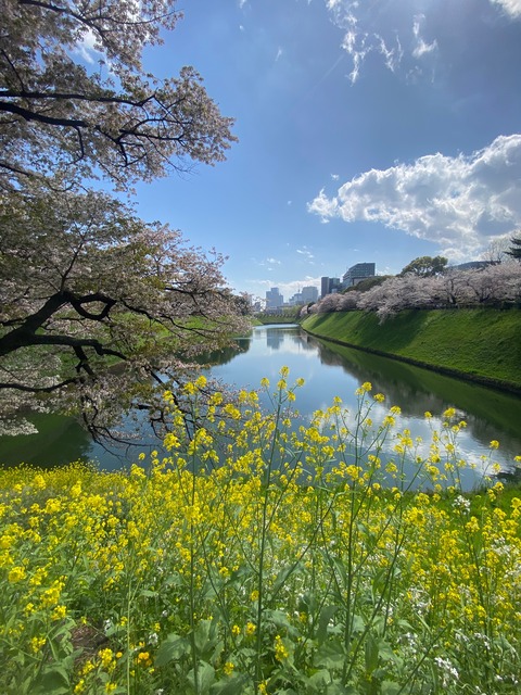 651CAA27-7576-4376-8BB5-99B3A9DE619B