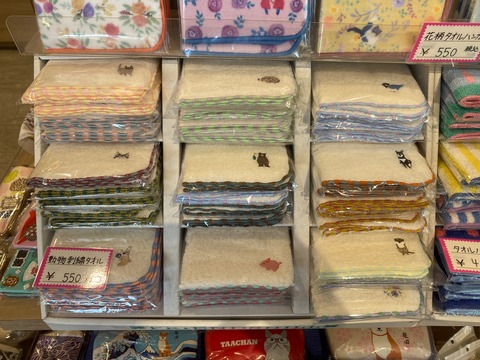 C0BD076F-DF2B-4181-9AB6-E31BB801BEE2