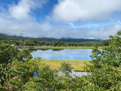 1CD8954D-F976-44BE-BF01-1541BA58A80A