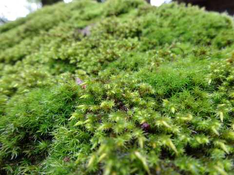 5AD70530-277B-4764-84FA-968F7AAEBF93