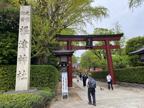 75D91DB3-EFFC-4ED7-B78A-9F19A76119F6